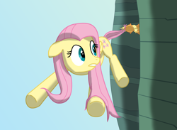 Size: 5475x4000 | Tagged: safe, artist:crusierpl, applejack, fluttershy, earth pony, pegasus, pony, cliff, mouth hold