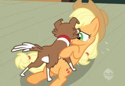 Size: 508x351 | Tagged: safe, screencap, applejack, winona, earth pony, pony, the last roundup, out of context