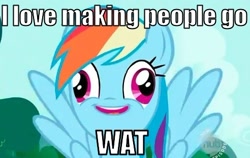 Size: 492x311 | Tagged: safe, edit, edited screencap, screencap, rainbow dash, pegasus, pony, image macro, wat