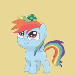 Size: 700x700 | Tagged: safe, artist:spicyhamsandwich, rainbow dash, tank, pegasus, pony, tortoise, adorable face, cute, dashabetes, duo, duo male and female, female, filly, filly rainbow dash, foal, male, tankabetes