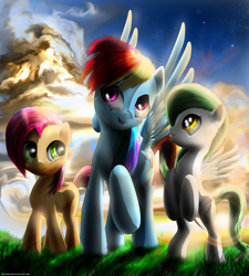 Size: 1800x2000 | Tagged: safe, artist:wylfden, babs seed, rainbow dash, oc, earth pony, pegasus, pony, female, filly, mare, trio