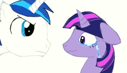 Size: 1176x679 | Tagged: safe, artist:hippityhoppity28, shining armor, twilight sparkle, twilight sparkle (alicorn), alicorn, pony, unicorn, crying, disappointed, upset