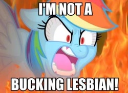 Size: 300x219 | Tagged: safe, rainbow dash, pegasus, pony, blue coat, female, image macro, mare, multicolored mane