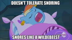 Size: 500x276 | Tagged: safe, edit, edited screencap, screencap, rainbow dash, pegasus, pony, sleepless in ponyville, cork, hub logo, image macro, sleeping, snoring, solo