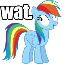 Size: 225x225 | Tagged: safe, rainbow dash, pegasus, pony, derp, image macro, rainbow derp, reaction image, wat