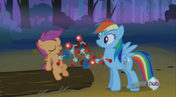 Size: 854x470 | Tagged: safe, artist:capnpea, edit, edited screencap, screencap, rainbow dash, scootaloo, pegasus, pony, sleepless in ponyville, fimbriae, together forever, wat