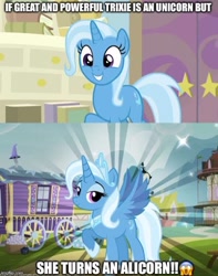 Size: 492x623 | Tagged: safe, derpibooru import, edit, edited screencap, screencap, trixie, alicorn, a horse shoe-in, alicornified, caption, grammar error, image macro, meme, race swap, text, trixiecorn