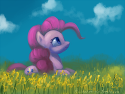 Size: 800x600 | Tagged: safe, artist:raikoh, pinkie pie, earth pony, pony, solo