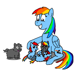 Size: 677x668 | Tagged: safe, artist:fluffsplosion, rainbow dash, fluffy pony, hybrid, pegasus, pony, fluffy pony foals