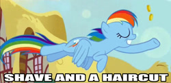 Size: 1015x491 | Tagged: safe, rainbow dash, pegasus, pony, blue coat, female, image macro, mare, multicolored mane, visual pun