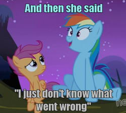 Size: 377x340 | Tagged: safe, edit, edited screencap, screencap, derpy hooves, rainbow dash, scootaloo, pegasus, pony, sleepless in ponyville, derpygate, female, hub logo, i just don't know what went wrong, image macro, mare