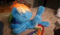 Size: 900x538 | Tagged: safe, artist:sockfuzzy, rainbow dash, pegasus, pony, female, irl, mare, photo, plushie, solo