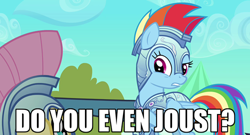 Size: 500x269 | Tagged: safe, fluttershy, rainbow dash, pegasus, pony, do you even lift, image macro, jousting, meme