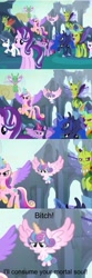 Size: 640x1920 | Tagged: safe, edit, edited screencap, screencap, princess cadance, princess flurry heart, princess luna, rarity, shining armor, starlight glimmer, thorax, twilight sparkle, twilight sparkle (alicorn), alicorn, changedling, changeling, pony, unicorn, to where and back again, comic, cute, death stare, debate in the comments, flurrybetes, king thorax, screencap comic, tenso, text, vulgar