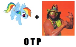 Size: 817x508 | Tagged: safe, rainbow dash, pegasus, pony, exploitable meme, meme, otp, randy savage, shipping, simple background, vector, white background, wwf