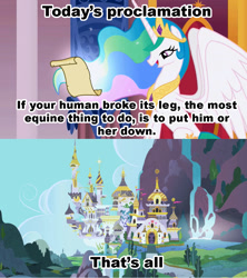 Size: 1021x1149 | Tagged: safe, princess celestia, human, celestia's proclamation, euthanasia, exploitable meme, meme, role reversal, unnecessary comma