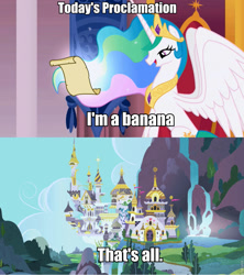 Size: 853x960 | Tagged: safe, princess celestia, alicorn, pony, banana, celestia's proclamation, exploitable meme, image macro, meme