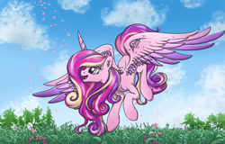 Size: 1250x800 | Tagged: safe, artist:bratzoid, princess cadance, alicorn, pony, flower, flying, petals, solo