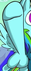 Size: 225x507 | Tagged: safe, artist:sibsy, idw, rainbow dash, pegasus, pony, cropped, out of context, solo, that's a penis, unfortunate design