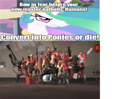 Size: 1280x1024 | Tagged: safe, princess celestia, alicorn, pony, exploitable meme, humanity fuck yeah, meme, team fortress 2, xenolestia