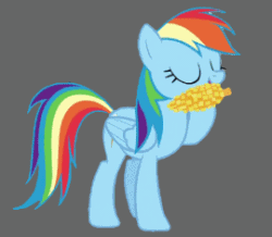 Size: 270x235 | Tagged: safe, rainbow dash, pegasus, pony, the crystal empire, animated, corn, cute, dashabetes, eating, eyes closed, female, gray background, hoof hold, mare, open mouth, simple background, smiling, solo