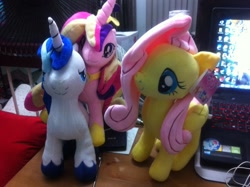 Size: 960x717 | Tagged: safe, artist:onlyfactory, photographer:aaronbobo, fluttershy, princess cadance, rainbow dash, shining armor, pony, unicorn, :3, bootleg, irl, my little pony logo, photo, plushie, size comparison