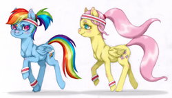 Size: 900x515 | Tagged: safe, artist:lenorespacey, fluttershy, rainbow dash, pegasus, pony, female, leg warmers, mare, wings