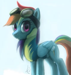 Size: 1143x1200 | Tagged: safe, artist:raikoh, rainbow dash, pegasus, pony, wonderbolts academy, solo, wonderbolt trainee uniform