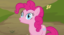 Size: 620x347 | Tagged: safe, screencap, pinkie pie, earth pony, pony, too many pinkie pies, female, mare, pink coat, pink mane, sweat