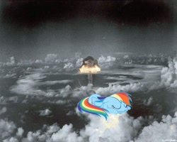 Size: 999x800 | Tagged: safe, rainbow dash, pegasus, pony, blue coat, female, mare, multicolored mane, mushroom cloud, photo