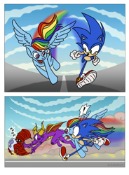 Size: 500x679 | Tagged: safe, rainbow dash, dragon, pegasus, pony, crossover, egg thieves, race, sonic the hedgehog, sonic the hedgehog (series), spyro the dragon