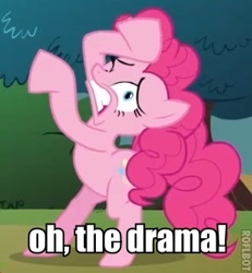 Size: 297x322 | Tagged: safe, screencap, pinkie pie, earth pony, pony, too many pinkie pies, image macro, meme