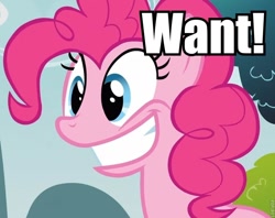 Size: 756x600 | Tagged: safe, edit, edited screencap, editor:eden89, screencap, pinkie pie, pony, too many pinkie pies, female, grin, image macro, mare, smiling, solo, want