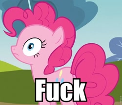 Size: 693x600 | Tagged: safe, edit, edited screencap, editor:eden89, screencap, pinkie pie, earth pony, pony, too many pinkie pies, cropped, female, fuck, image macro, mare, reaction image, vulgar, wide eyes