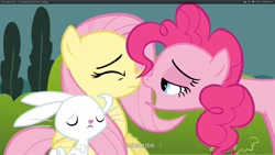 Size: 1920x1080 | Tagged: safe, screencap, angel bunny, fluttershy, pinkie pie, earth pony, pegasus, pony, too many pinkie pies, minty fresh breath, youtube caption