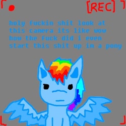 Size: 500x500 | Tagged: artist needed, source needed, safe, rainbow dash, pegasus, pony, ask, camera, camera shot, spread wings, tumblr, vulgar, wings