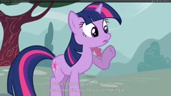 Size: 1920x1080 | Tagged: safe, screencap, pinkie pie, twilight sparkle, earth pony, pony, too many pinkie pies, youtube caption