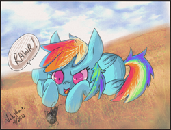 Size: 682x519 | Tagged: safe, artist:velexane, rainbow dash, pegasus, pony, spider, blue coat, female, jumping spider, mare, multicolored mane, solo