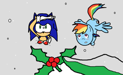 Size: 1013x619 | Tagged: safe, artist:tj0001, rainbow dash, pegasus, pony, crossover, crossover shipping, female, holly, holly mistaken for mistletoe, interspecies, male, shipping, sonic the hedgehog, sonic the hedgehog (series), sonicdash, straight