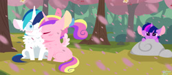 Size: 5000x2196 | Tagged: safe, artist:glitterstar2000, artist:matty4z, princess cadance, shining armor, twilight sparkle, alicorn, pony, unicorn, absurd resolution, big ears, blushing, cherry blossoms, chest fluff, chibi, eyes closed, female, filly, filly twilight sparkle, flower, flower blossom, fluffy, male, nuzzling, shiningcadance, shipping, soon, straight, teen princess cadance, teen shining armor, teenage shining armor, watching, wingding eyes, younger