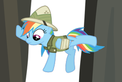 Size: 1500x1000 | Tagged: safe, artist:drumblastingquilava, daring do, rainbow dash, pegasus, pony, bandage, simple background, solo, transparent background, vector