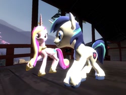 Size: 1024x768 | Tagged: safe, artist:sonic5421, princess cadance, shining armor, alicorn, pony, unicorn, 3d, gmod