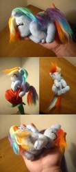 Size: 400x900 | Tagged: dead source, safe, artist:tkc, rainbow dash, hand, irl, photo, plushie, sleeping