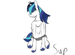 Size: 1280x947 | Tagged: safe, artist:supraphary, shining armor, pony, unicorn, clothes, male, solo, sweater, unshorn fetlocks