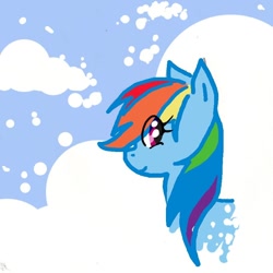 Size: 816x816 | Tagged: safe, artist:rizathepenguin, rainbow dash, pegasus, pony, blue coat, female, mare, multicolored mane