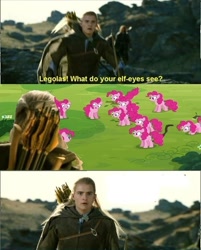 Size: 500x623 | Tagged: safe, edit, edited screencap, screencap, pinkie pie, earth pony, elf, pony, too many pinkie pies, arrow, caption, clone, female, legolas, lord of the rings, male, mare, pinkie clone, quiver