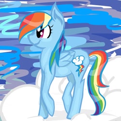 Size: 1024x1024 | Tagged: safe, artist:kingoftheranbowducks, rainbow dash, pegasus, pony, blue coat, female, mare, multicolored mane