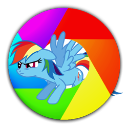 Size: 512x512 | Tagged: safe, artist:flutterflyraptor, rainbow dash, pegasus, pony, blue coat, female, google chrome, mare, multicolored mane