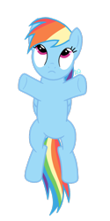 Size: 632x1264 | Tagged: safe, rainbow dash, pegasus, pony, female, frown, looking up, mare, short arms, signature, simple background, solo, transparent background