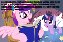 Size: 1010x671 | Tagged: safe, princess cadance, twilight sparkle, unicorn twilight, alicorn, pony, unicorn, :o, bed, bedtime story, bee movie, bee movie script, blanket, book, bow, cadance's bedtime stories, chair, detailed background, duo, duo female, exploitable meme, female, females only, filly, filly twilight sparkle, hair bow, hoof hold, horn, looking at each other, looking up, meme, multicolored mane, open mouth, pillow, pink coat, pink wings, purple coat, purple eyes, sitting, smiling, spread wings, text, wings, younger